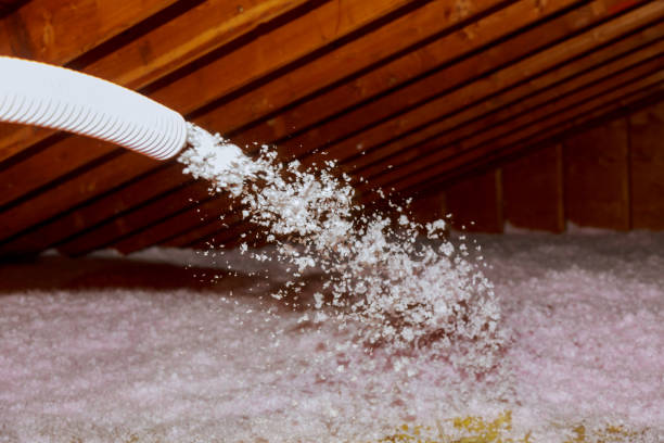 Best Energy Efficiency Solutions in Gig Harbor, WA